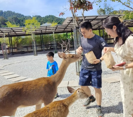 Langkawi Wildlife Park